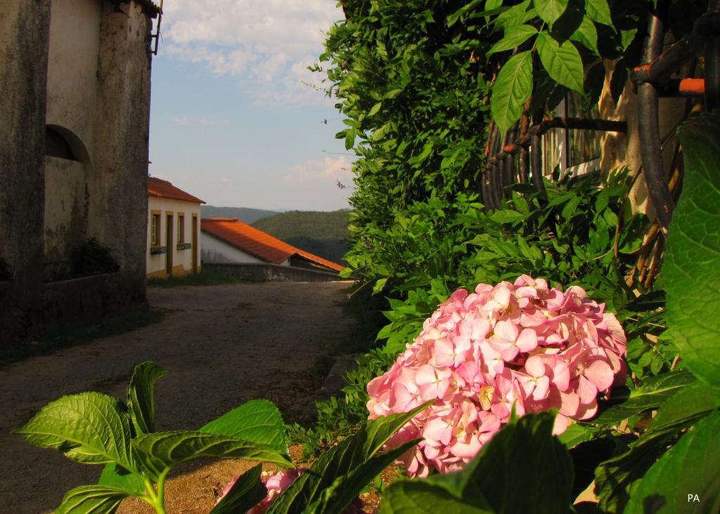 Quinta Do Cerquito Villa Ferreira do Zezere Exterior photo
